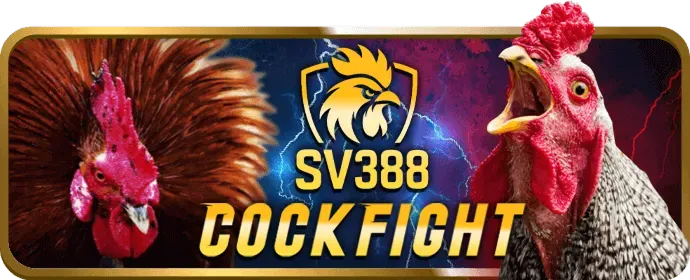 Cách đặt cược tại 123b Bet